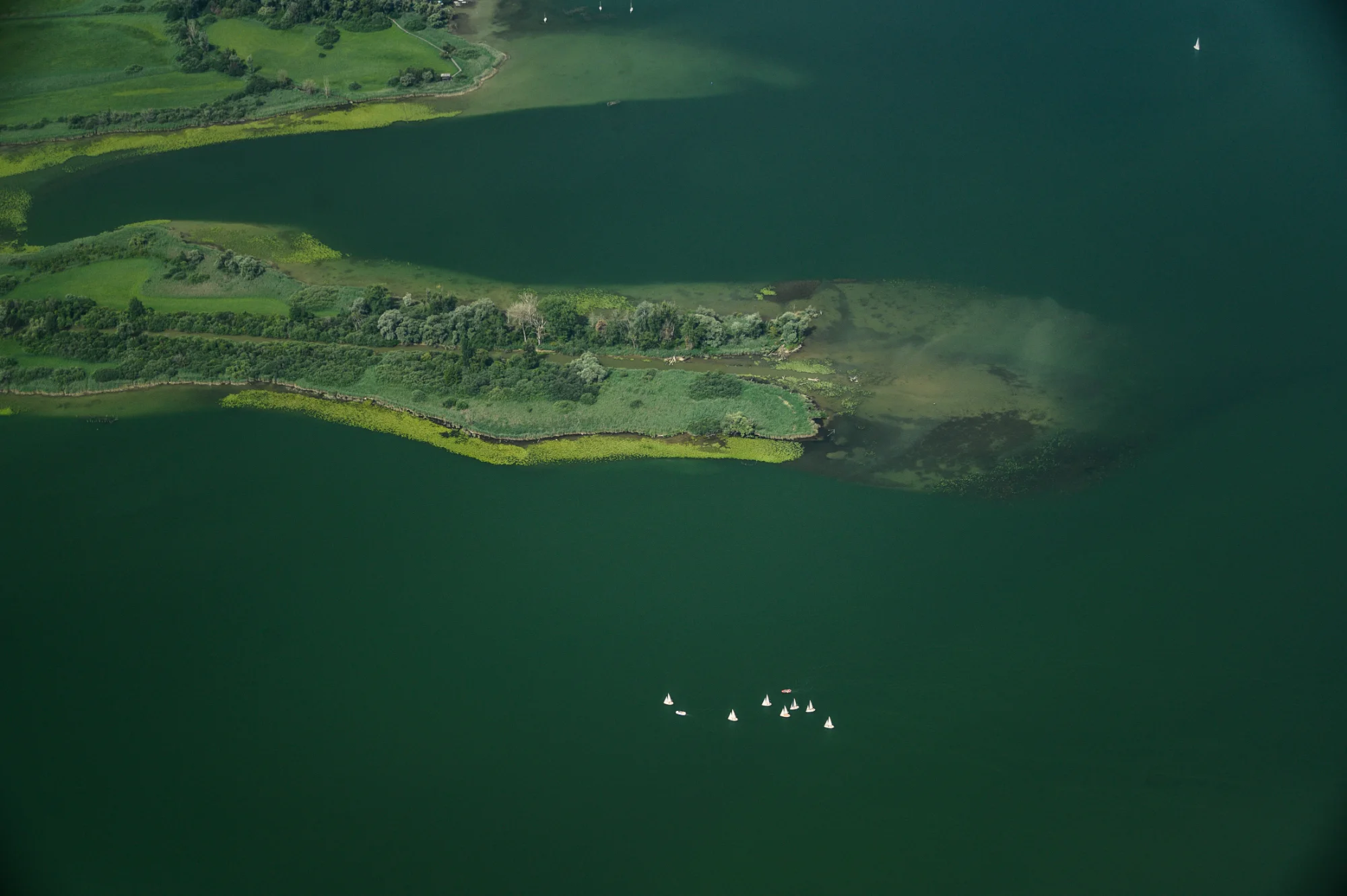 Aerial view of the Ammersee shore with reed islands and a fleet of small sailing dinghies on dark green water — Travel Notes, travel photography by Janina Laszlo