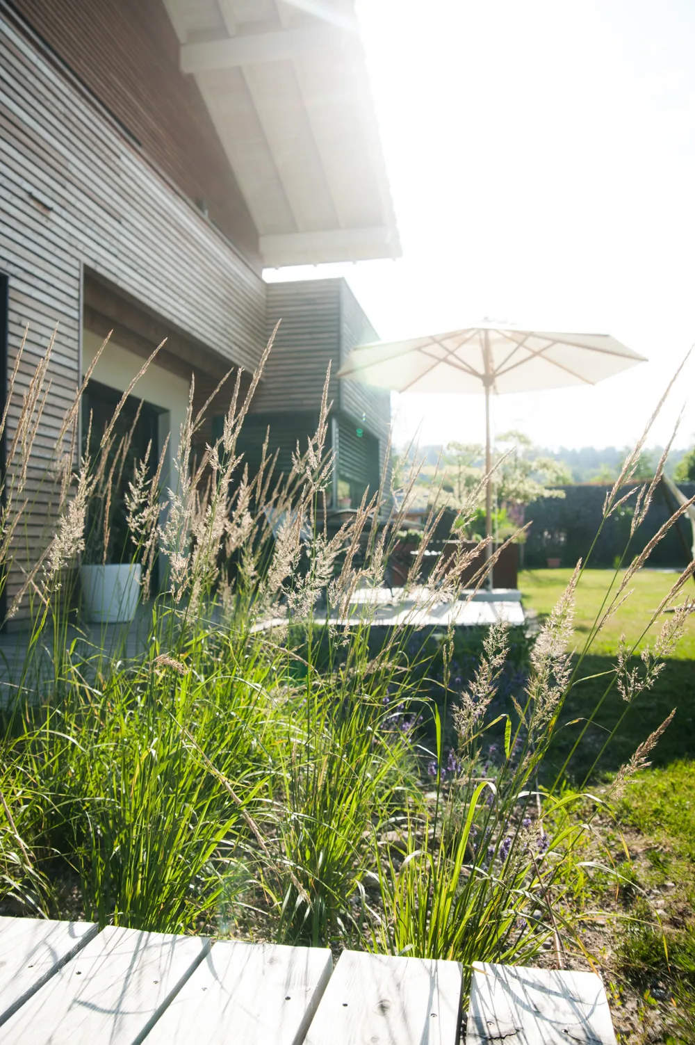 Ornamental grasses on a garden terrace with a parasol beside a modern house — outdoor environment photographed by Janina Laszlo for Ammerseer Landschaftsbau