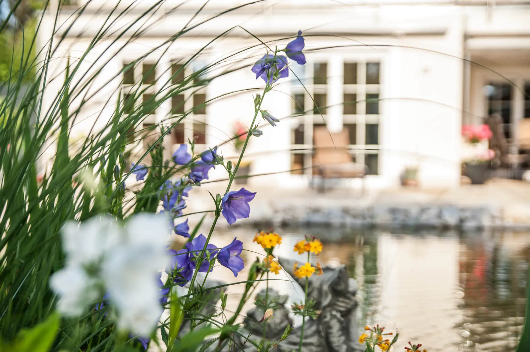 Wildflowers in front of a garden pond and terrace — garden design in the Ammersee region, photographed by Janina Laszlo for Ammerseer Landschaftsbau
