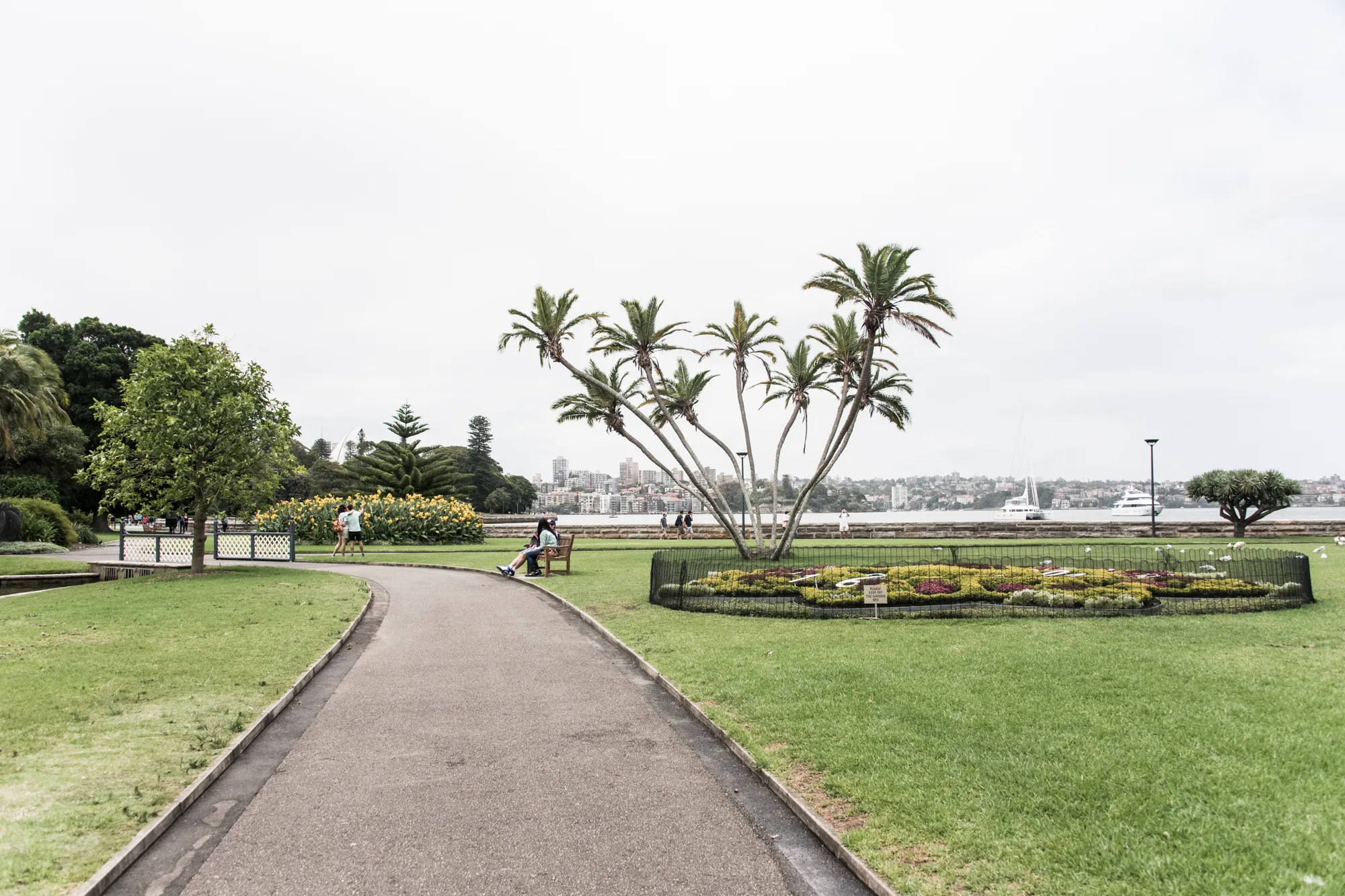 Path through the Royal Botanic Garden with palms and flower beds on Sydney Harbour, Sydney — Australia, travel and fine art photography by Janina Laszlo