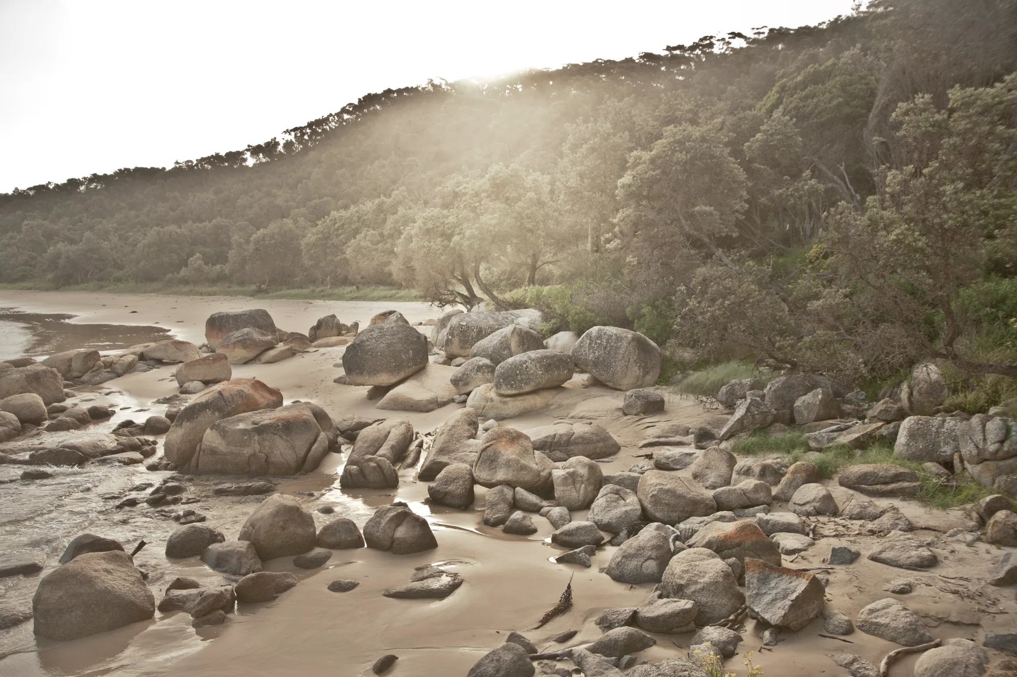 Rounded granite boulders on a sandy beach below a sunlit coastal forest — Australia, travel and fine art photography by Janina Laszlo
