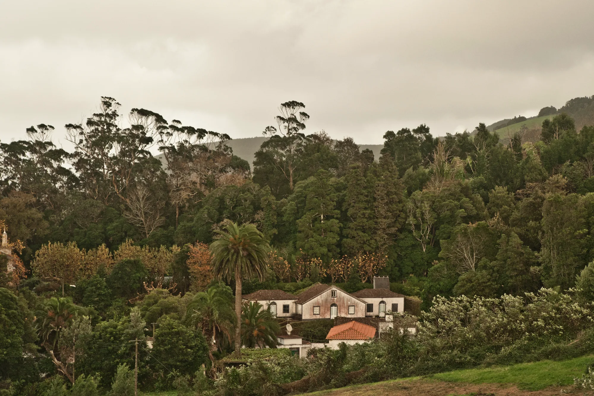 Old manor house among tall trees and a palm on a green hillside — Azores, São Miguel, travel and fine art photography by Janina Laszlo