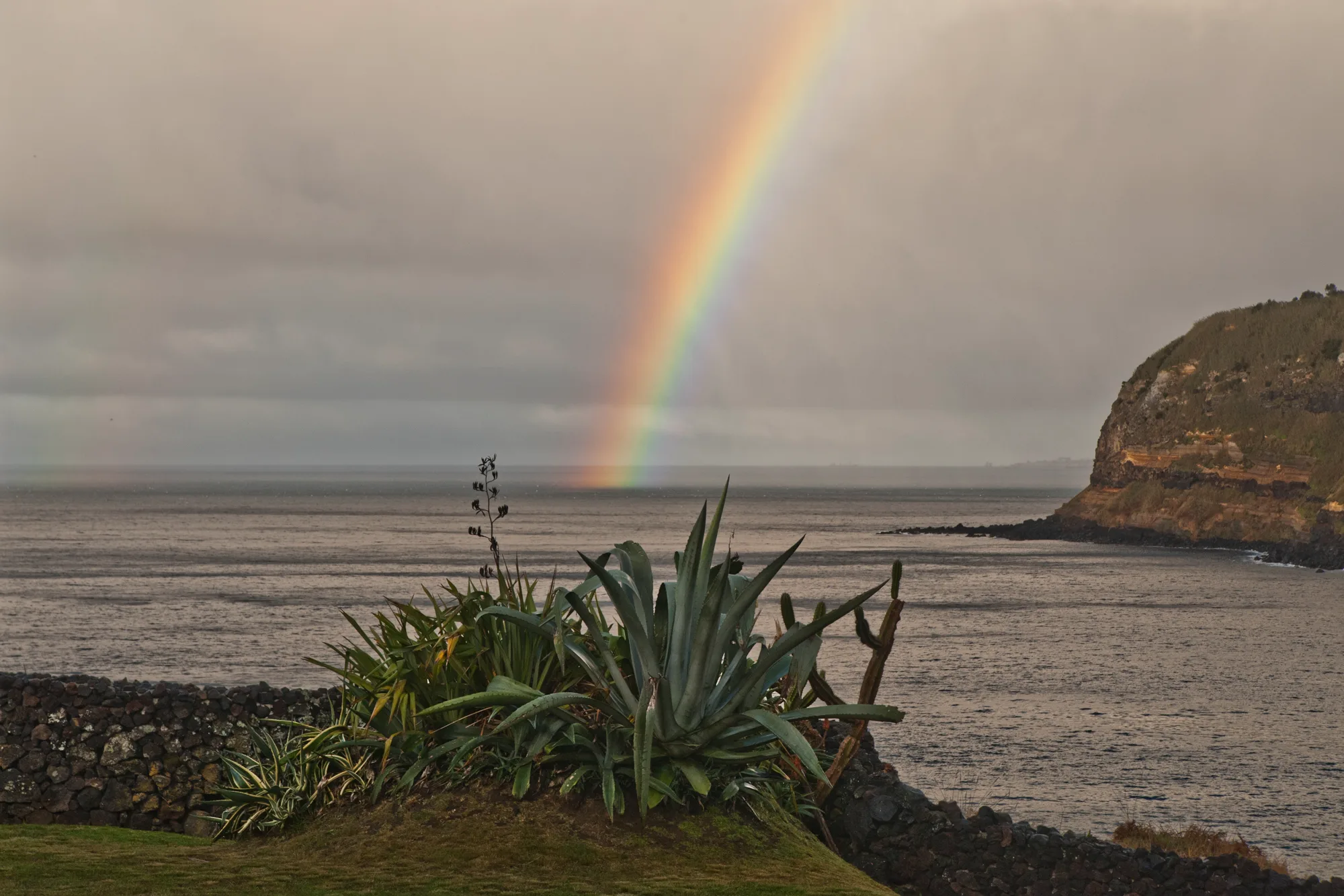 Rainbow over the ocean with an agave and a cliff headland in the foreground — Azores, São Miguel, travel and fine art photography by Janina Laszlo