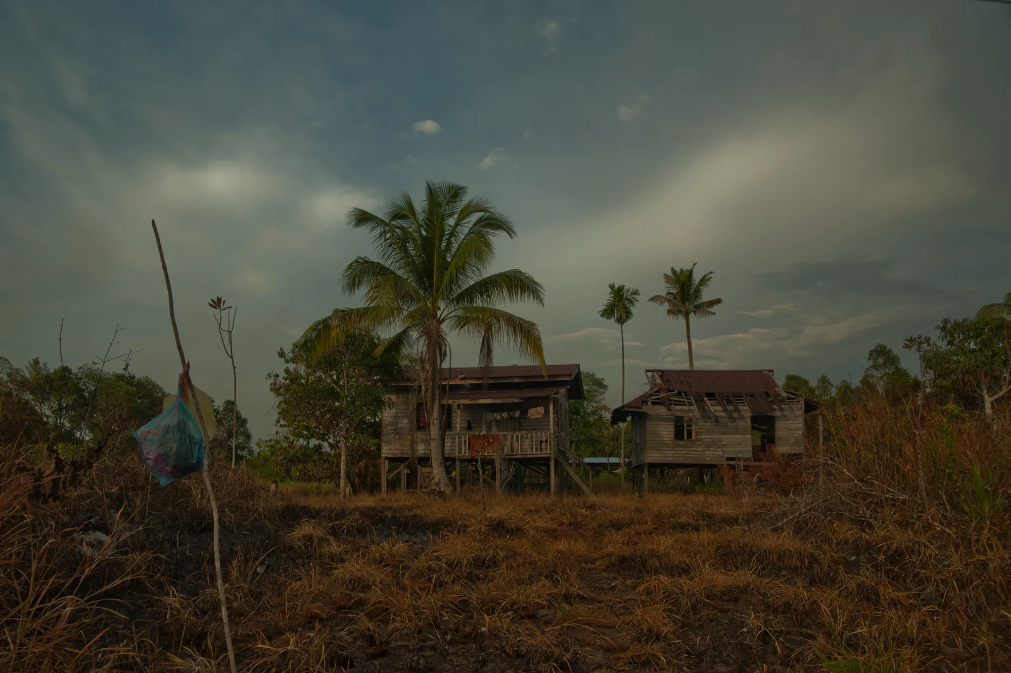 Wooden stilt houses and coconut palms on dry grassland under a stormy sky — Borneo & Pulau Mabul, documentary and travel photography by Janina Laszlo