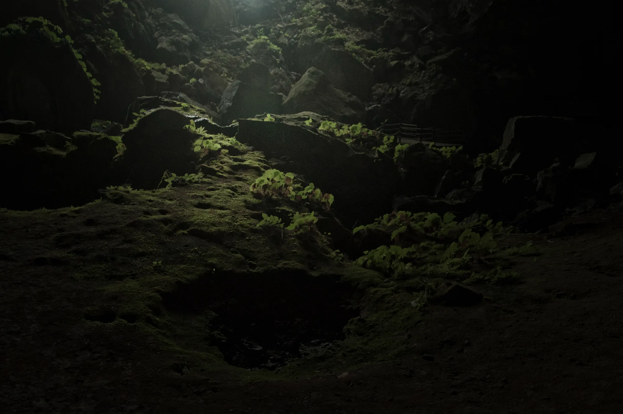Moss and plants on rocks lit by a shaft of light in a cave — Borneo & Pulau Mabul, documentary and travel photography by Janina Laszlo