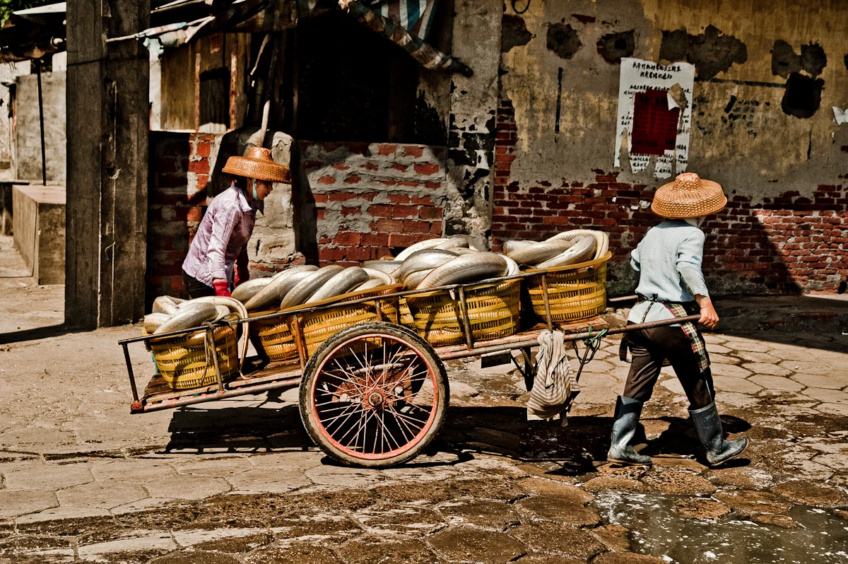 Two women in straw hats pushing a cart of fish baskets over wet cobbles — China, documentary and travel photography by Janina Laszlo