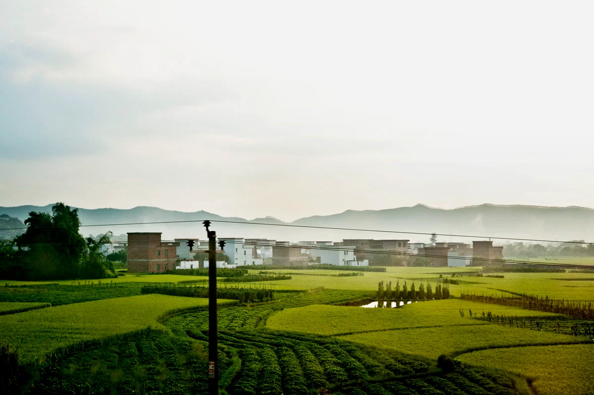 Green rice fields with a village and misty hills at dawn — China, documentary and travel photography by Janina Laszlo
