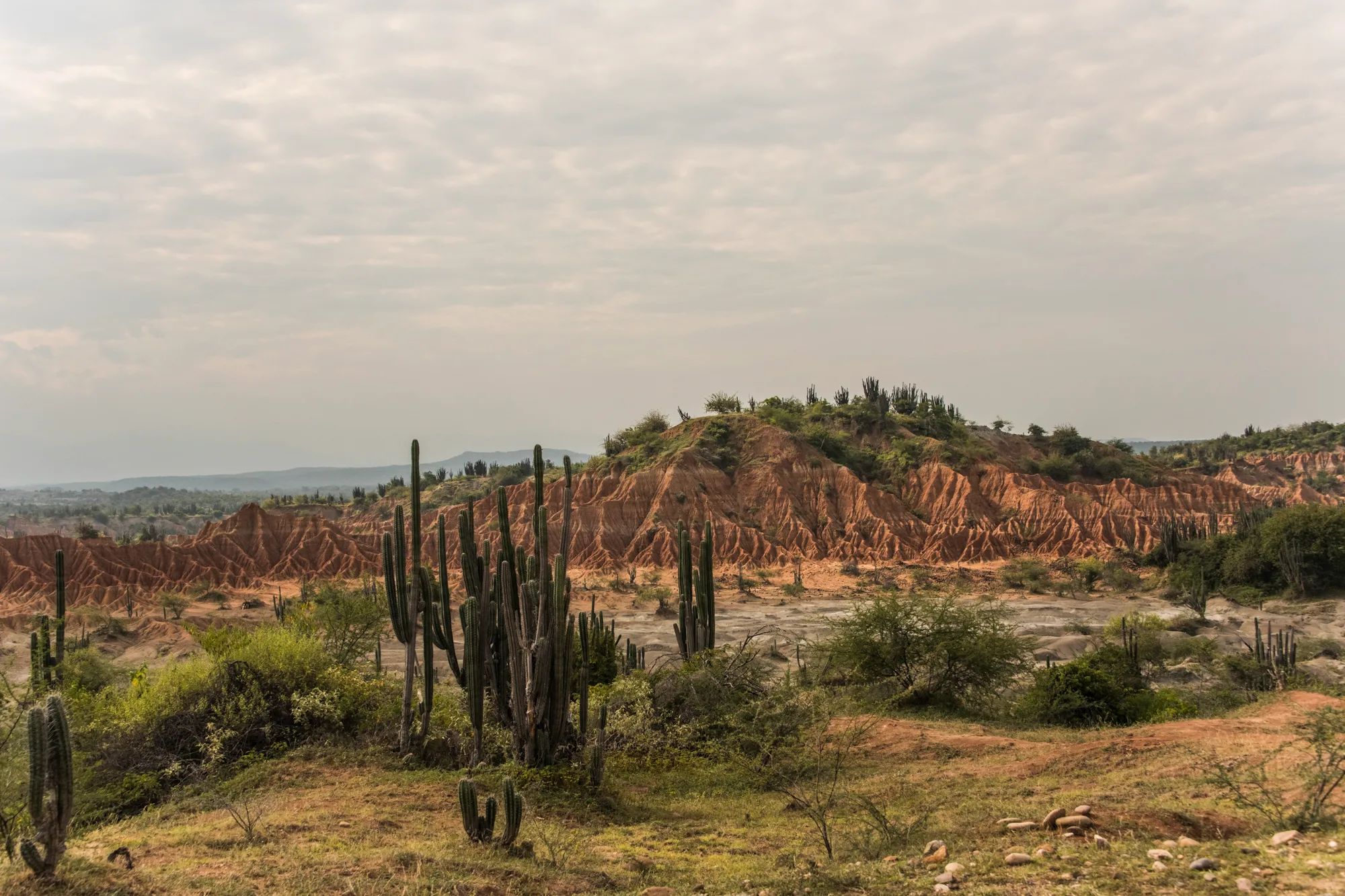 Red eroded badlands with tall cacti under a grey sky, Tatacoa Desert — Colombia, travel and documentary photography by Janina Laszlo