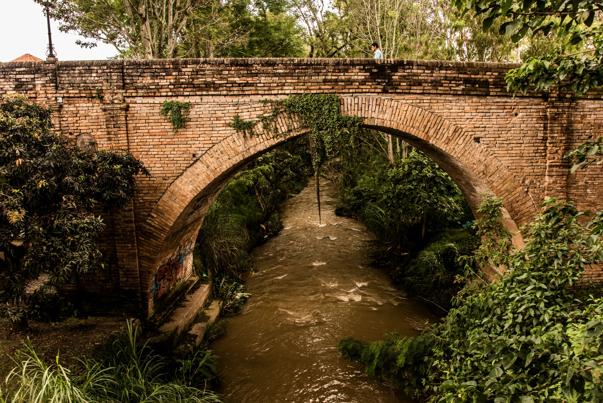 Old brick arch bridge over a brown river framed by trees, Popayán — Colombia, travel and documentary photography by Janina Laszlo