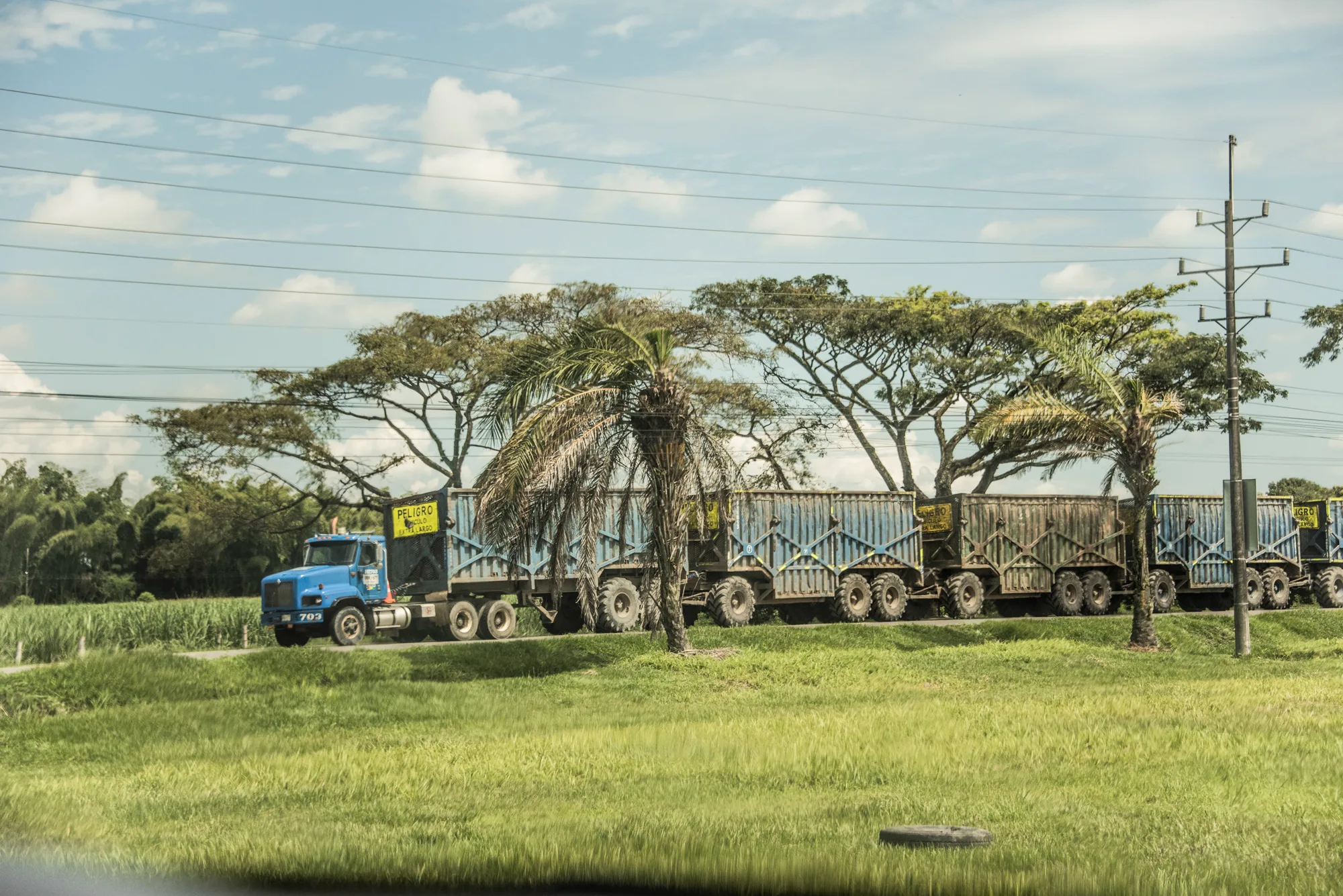 Long sugarcane road train with blue trailers passing palms and rain trees — Colombia, travel and documentary photography by Janina Laszlo