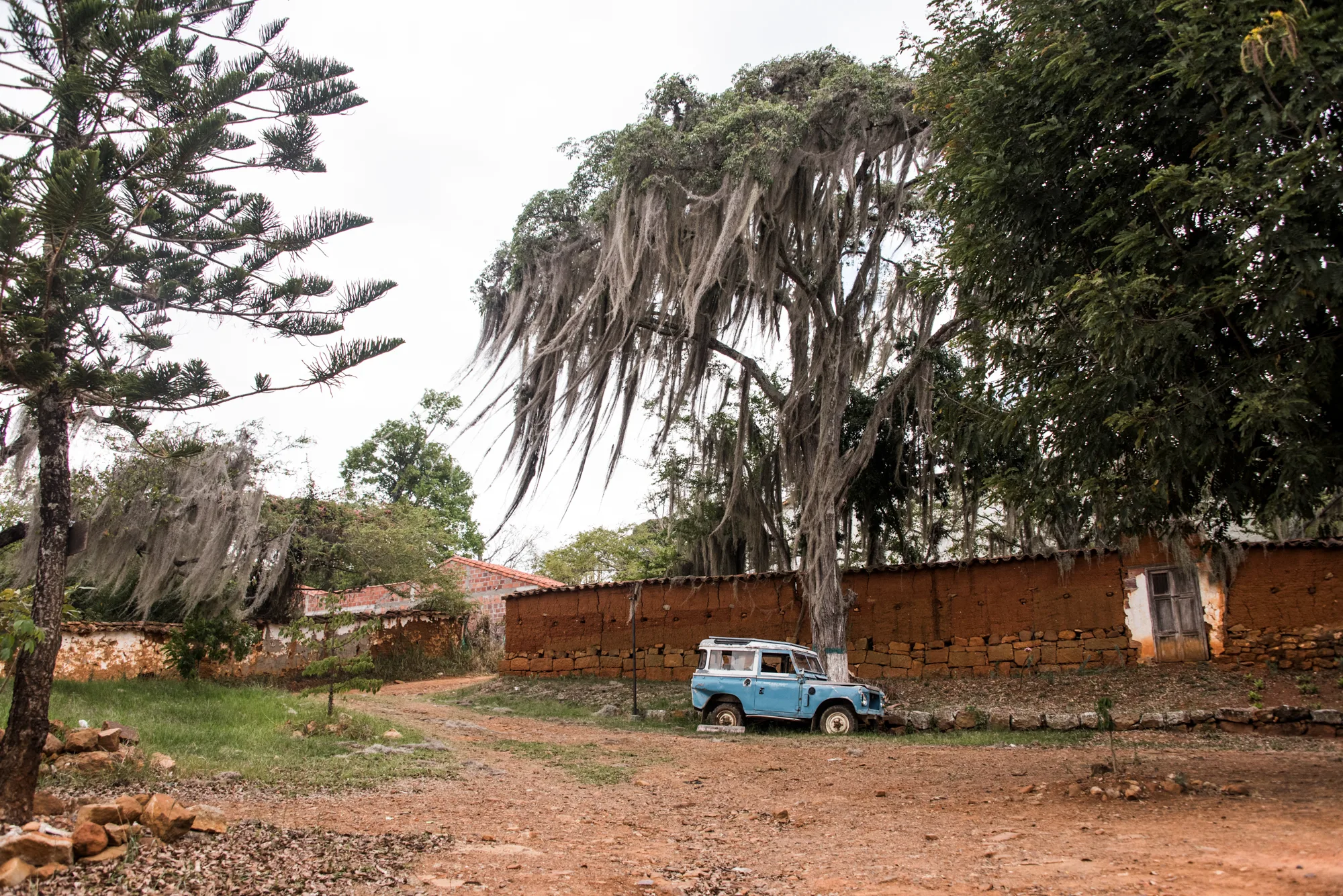 Old blue Land Rover parked under a tree hung with Spanish moss beside an adobe wall, Barichara — Colombia, travel and documentary photography by Janina Laszlo