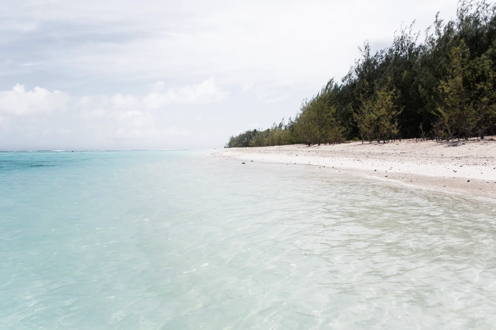 Turquoise lagoon and white sand beach lined with casuarina trees — Cook Islands, travel and fine art photography by Janina Laszlo