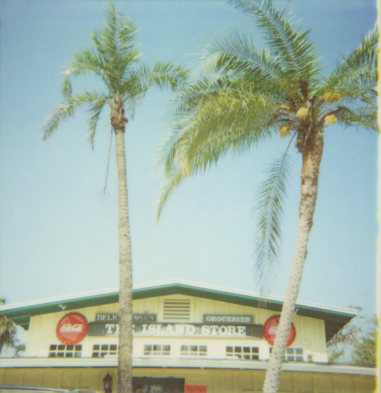 Two palm trees in front of The Island Store with Coca-Cola signs — Expired Polaroids in Florida, fine art and analog photography by Janina Laszlo