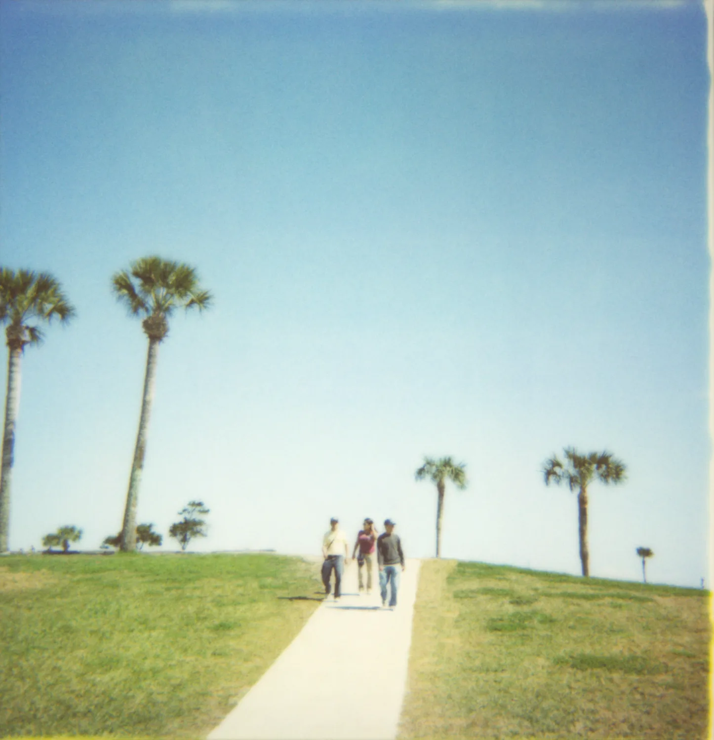 Three friends walking down a path between palm trees — Expired Polaroids in Florida, fine art and analog photography by Janina Laszlo