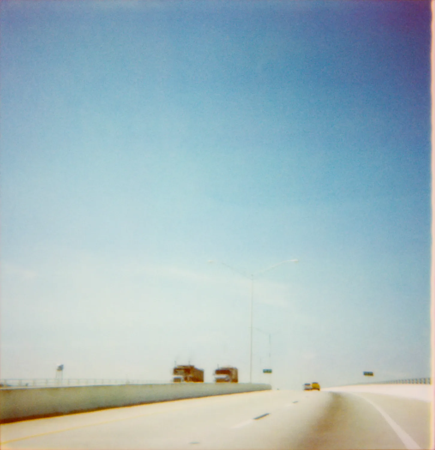 Longhorn cattle behind barbed wire — Expired Polaroids in Florida, fine art and analog photography by Janina Laszlo