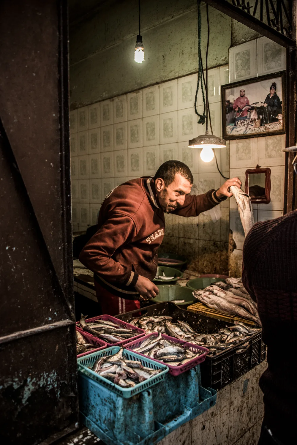 Fishmonger holding up a fish under bare bulbs at his tiled stall, Fez medina — Fez, street and travel photography by Janina Laszlo