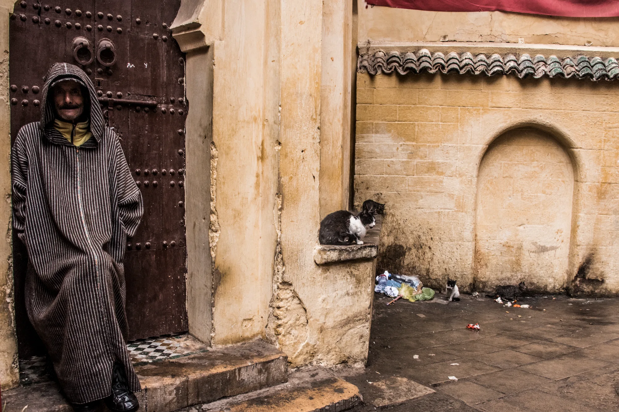 Man in a striped djellaba at a studded wooden door, cats on the step, Fez medina — Fez, street and travel photography by Janina Laszlo