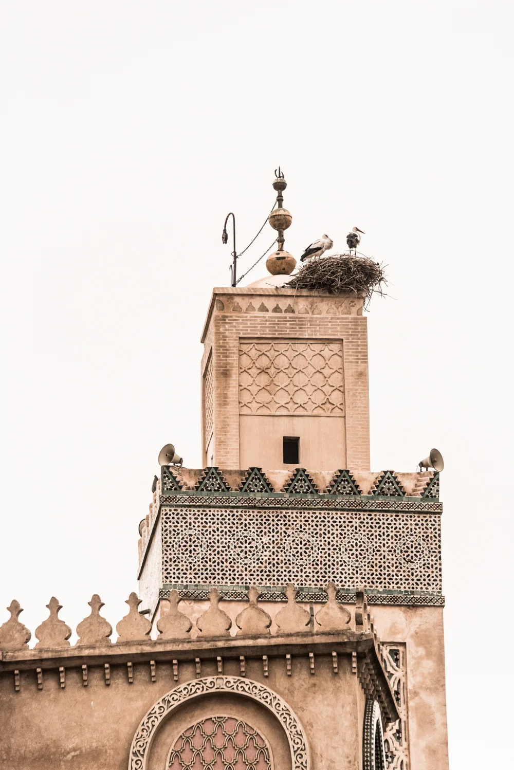 Storks nesting on a tiled minaret, Fez — Fez, street and travel photography by Janina Laszlo
