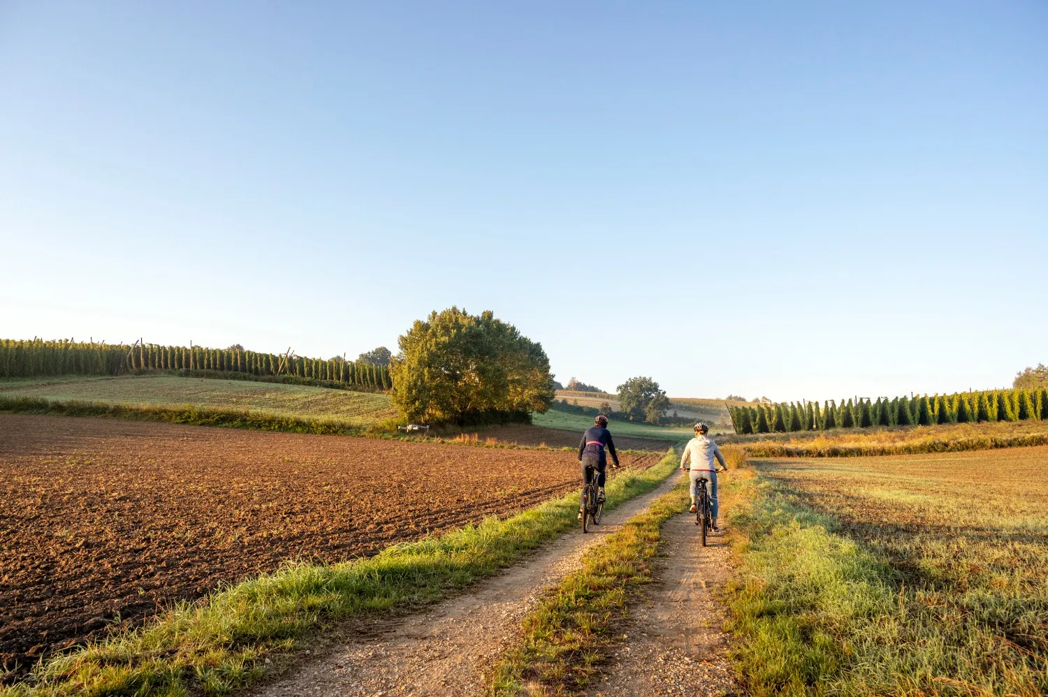 Two cyclists riding a gravel track between fields and hop gardens in morning light — cycling tourism photography on Bavaria's Hop Route by Janina Laszlo