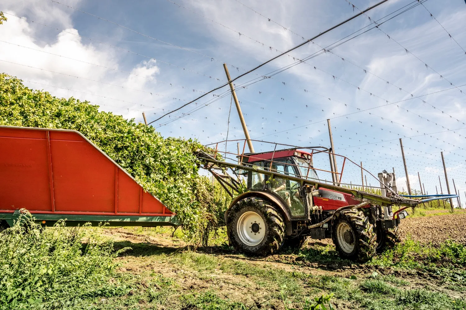 Tractor and red trailer during the hop harvest along the Hop Route in Bavaria — editorial photography for a Bavarian tourism campaign by Janina Laszlo