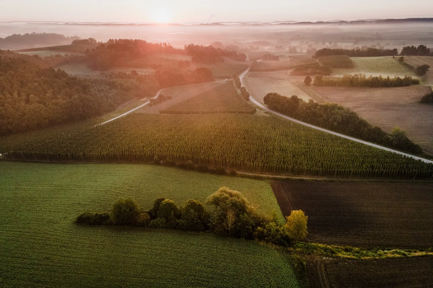 Aerial view of hop gardens and misty hills at sunrise along the Hop Route, Bavaria — landscape photography for a Bavarian tourism campaign by Janina Laszlo