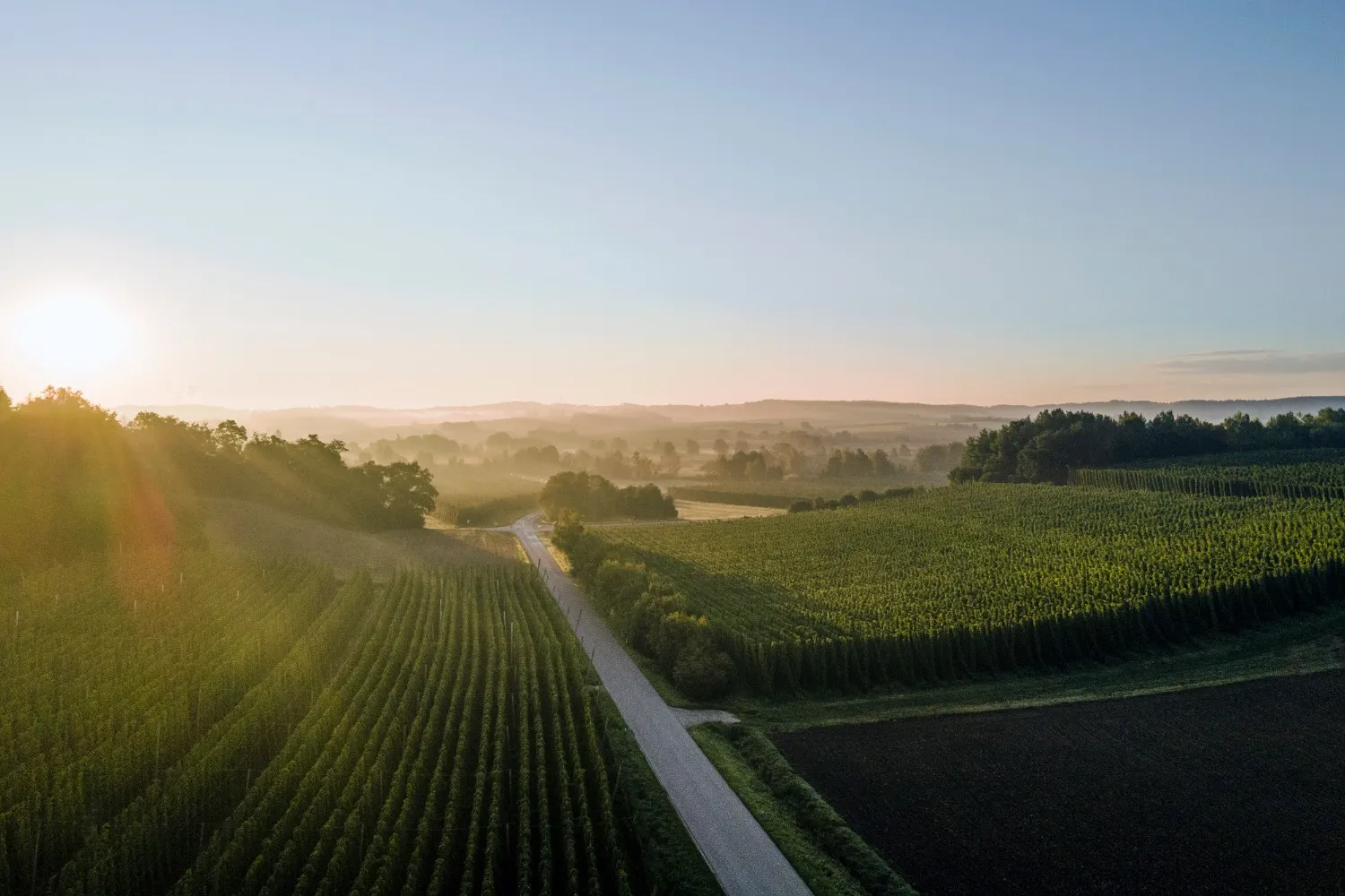 Road winding through hop gardens and fields at sunrise — scenic landscape of Bavaria's Hop Route cycling region, tourism campaign photography by Janina Laszlo