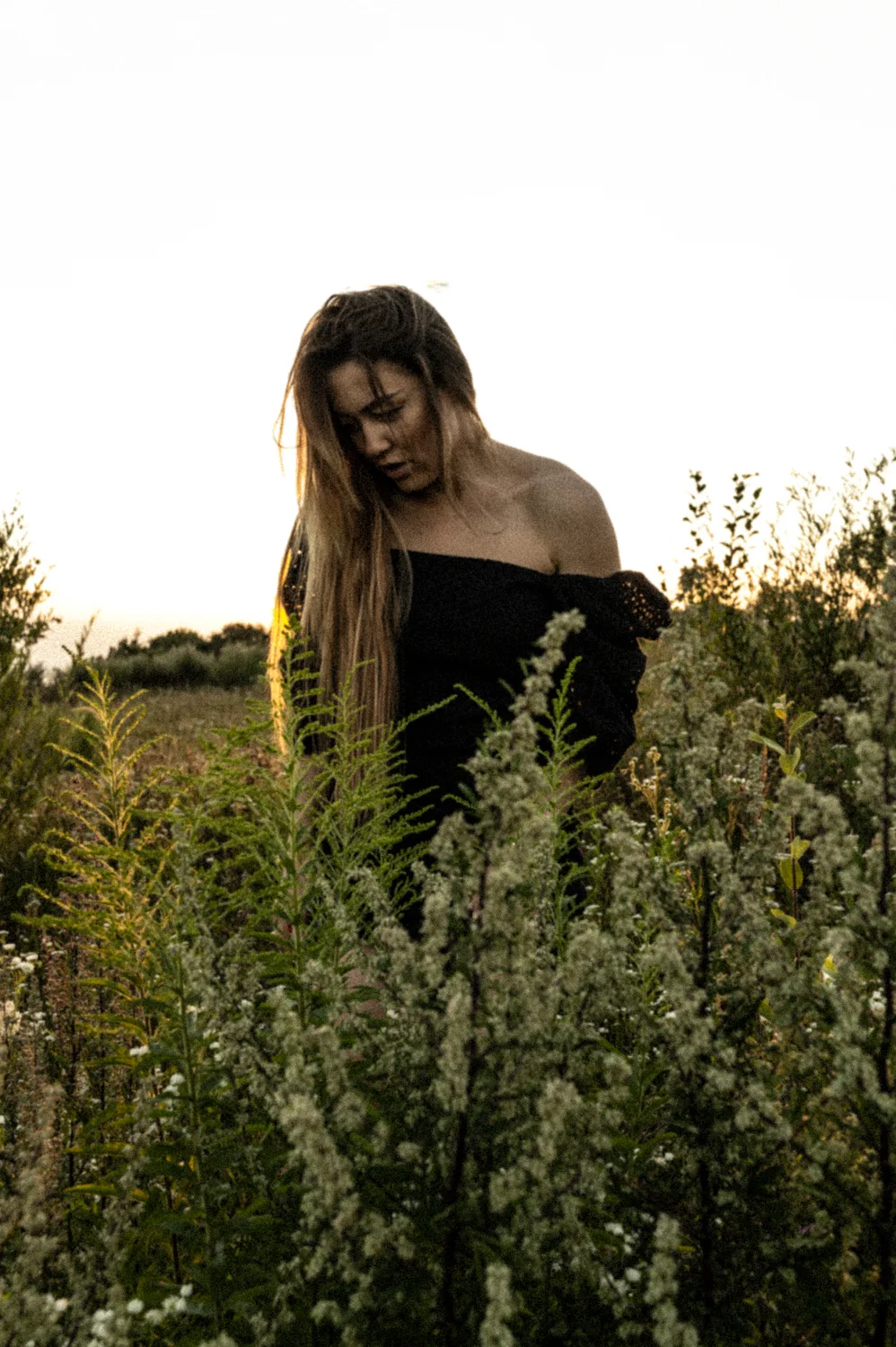 Julia standing in tall grass at sunset — Julia, dance portrait photography by Janina Laszlo