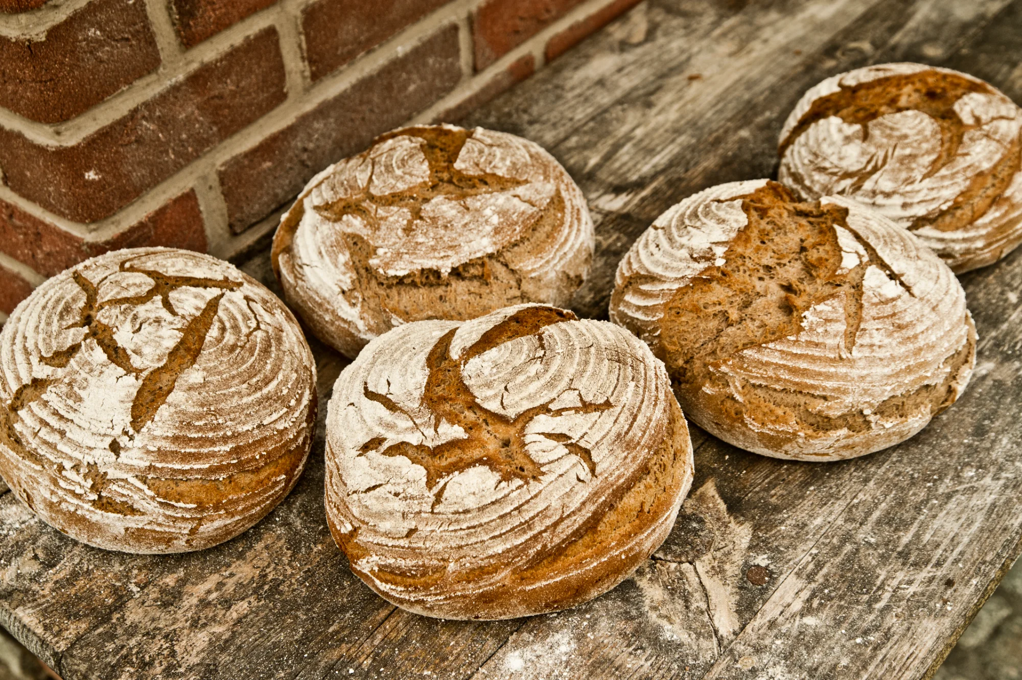 Five scored sourdough country loaves dusted with flour on a weathered wooden board by a brick wall — Landbäckerei Zobel, Seefeld, Bavaria, craft bakery photography by Janina Laszlo