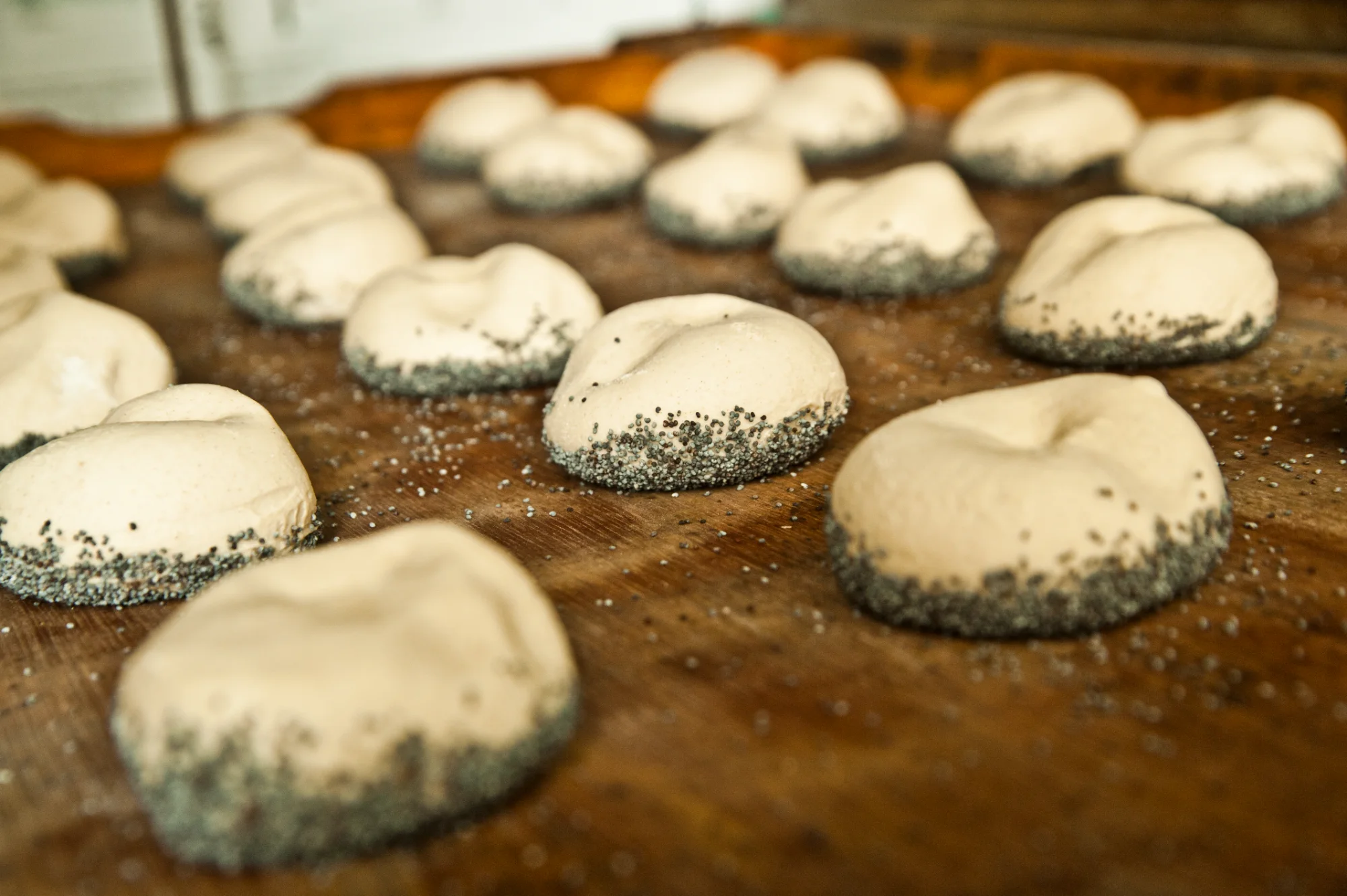Raw poppy seed rolls on a wooden board before baking — Landbäckerei Zobel, Seefeld, Bavaria, craft bakery photography by Janina Laszlo