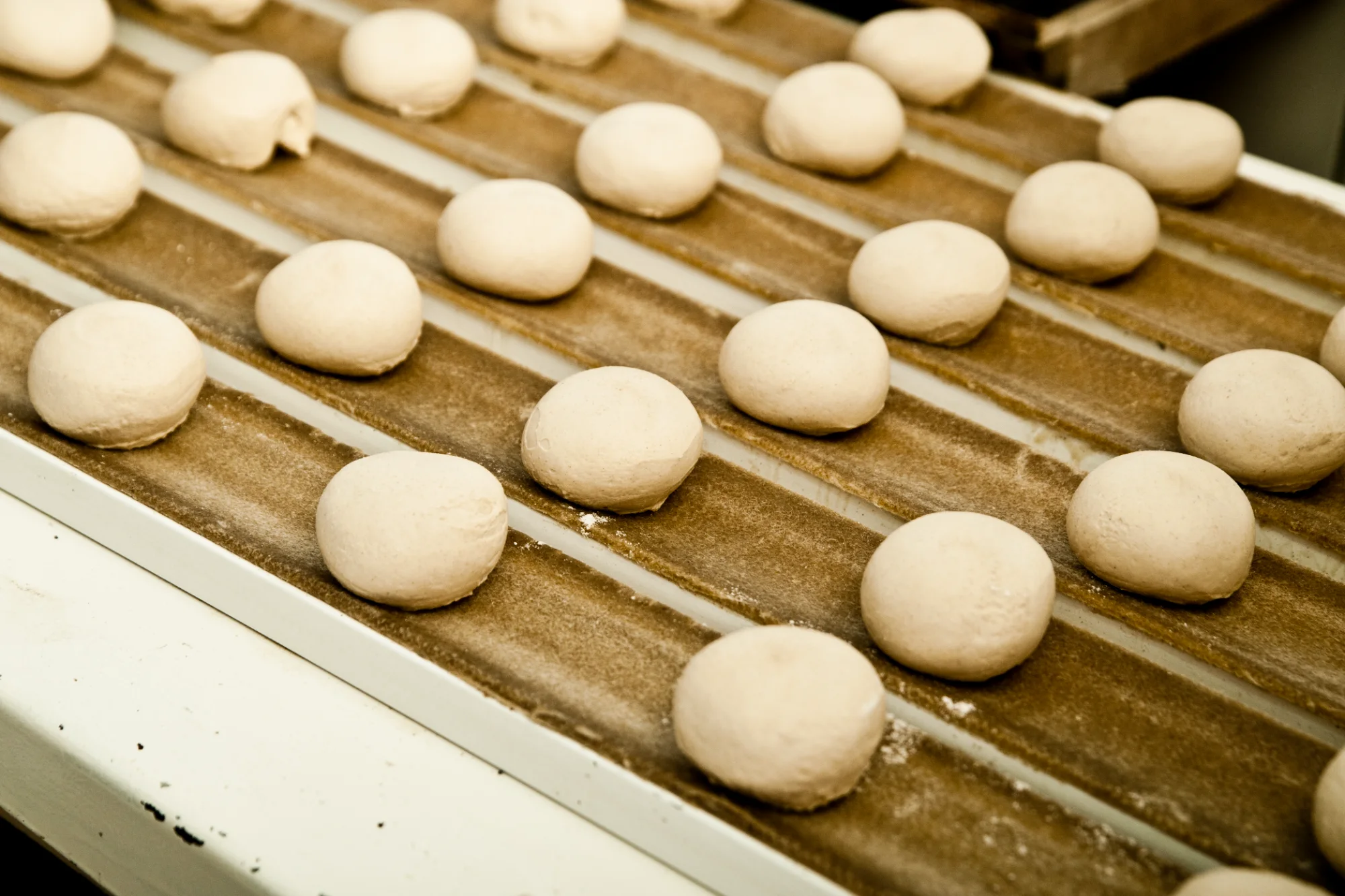 Rows of rounded dough balls on the grooved conveyor of the roll machine — Landbäckerei Zobel, Seefeld, Bavaria, craft bakery photography by Janina Laszlo