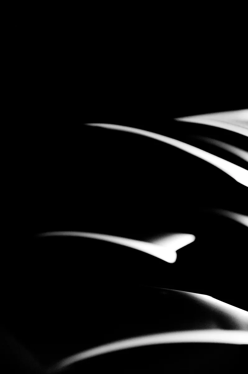 Black-and-white abstraction of the LC 1.0 chandelier: thin lines of light on black — LC 1.0 chandelier by Denise M. Hachinger, product and design photography by Janina Laszlo