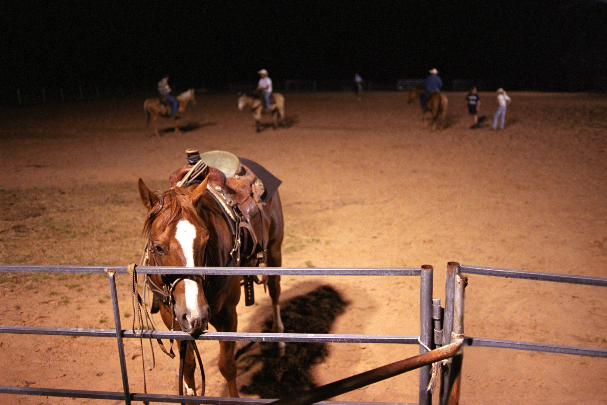Saddled sorrel horse with a white blaze at the arena gate at night, riders practising behind — Love County, Oklahoma, analog documentary photography by Janina Laszlo