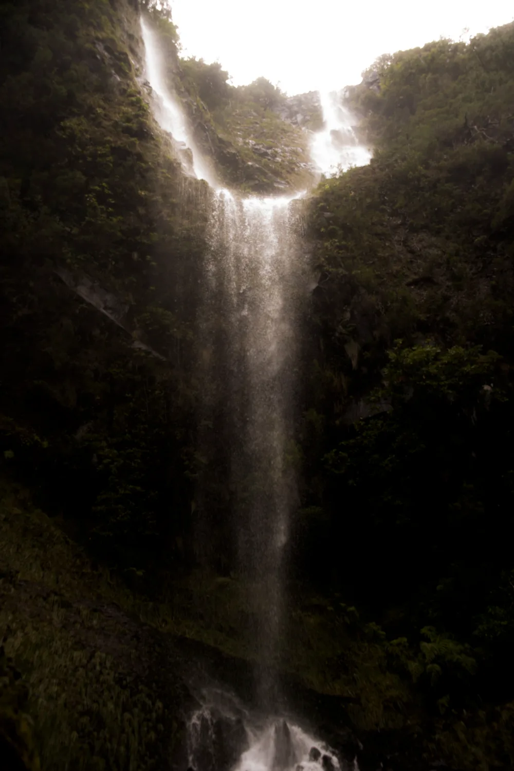 Tall waterfall plunging down a dark, moss-covered gorge — Madeira, landscape and travel photography by Janina Laszlo