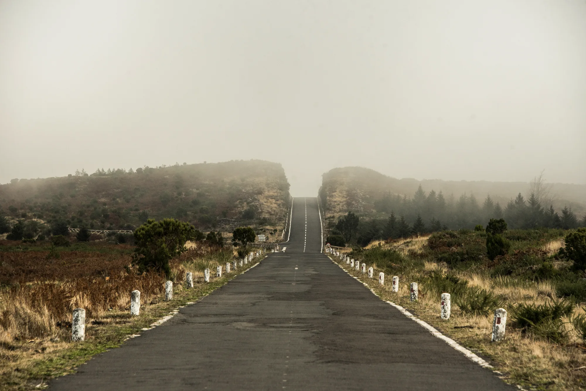 Empty road through fog on a high moorland plateau lined with white bollards — Madeira, landscape and travel photography by Janina Laszlo