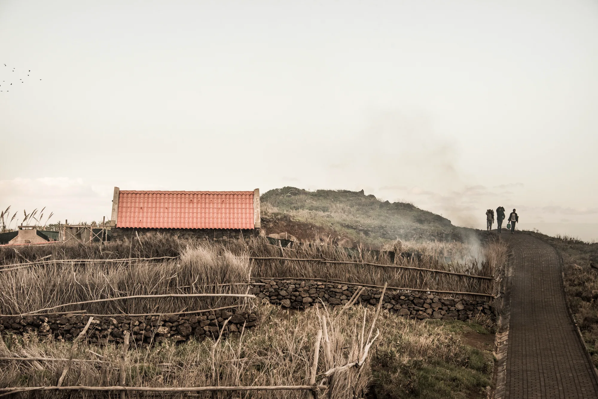 Red-roofed stone hut, reed fences and walkers on a paved path above the sea — Madeira, landscape and travel photography by Janina Laszlo