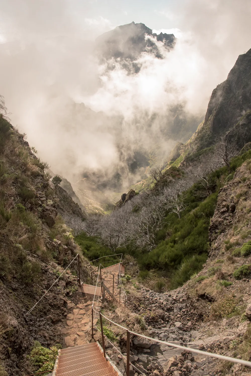 Stairway of the Pico do Arieiro trail descending into clouds among bleached trees — Madeira, landscape and travel photography by Janina Laszlo