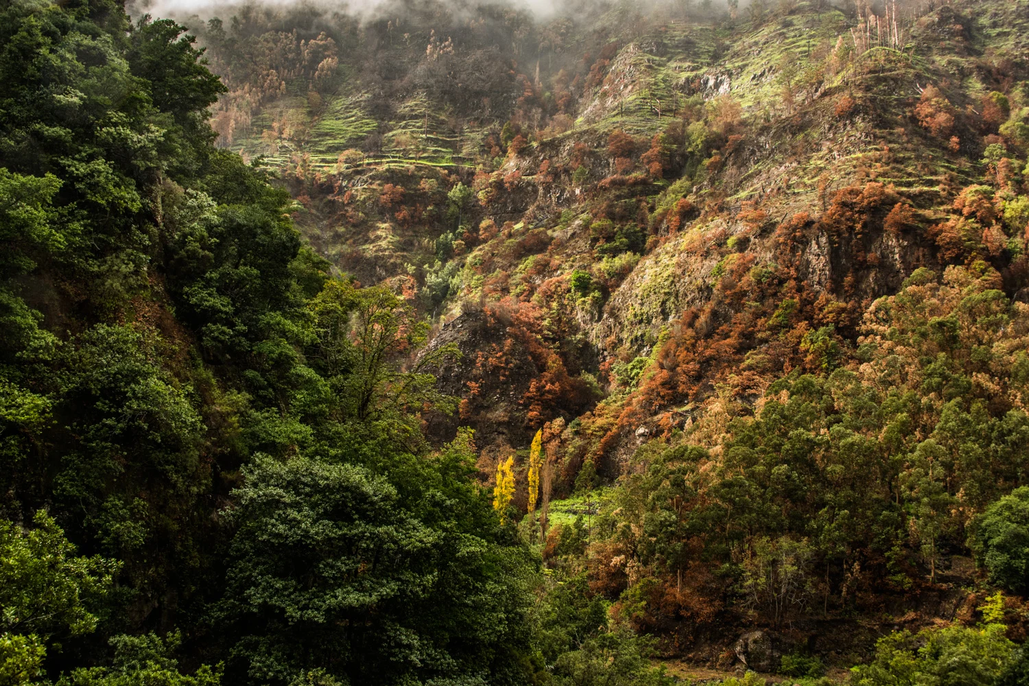 Terraced hillside villages under falling rain — Madeira, landscape and travel photography by Janina Laszlo