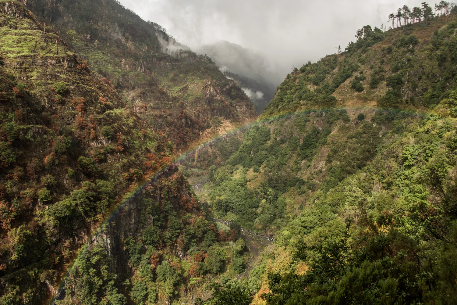 Rainbow arching across a deep forested gorge beneath drifting clouds, Madeira — Madeira, travel and landscape photography by Janina Laszlo
