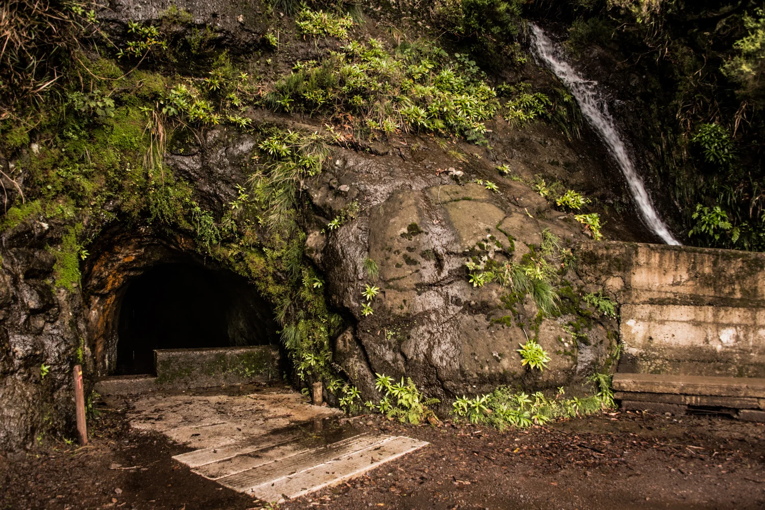 Levada tunnel entrance beside a moss-covered rock face and a small waterfall, Madeira — Madeira, travel and landscape photography by Janina Laszlo
