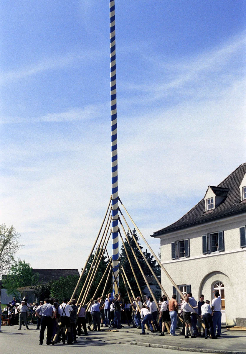 Men in lederhosen raising a blue-and-white striped maypole with long wooden poles beside a village house, Bavaria — Maibaum, documentary film photography by Janina Laszlo