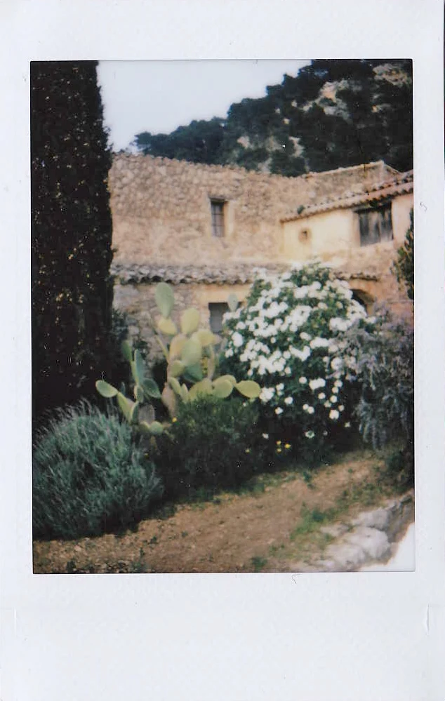 Polaroid of an old stone finca with prickly pear cactus and a white flowering oleander, Mallorca — Mallorca Polaroids, analog travel photography by Janina Laszlo