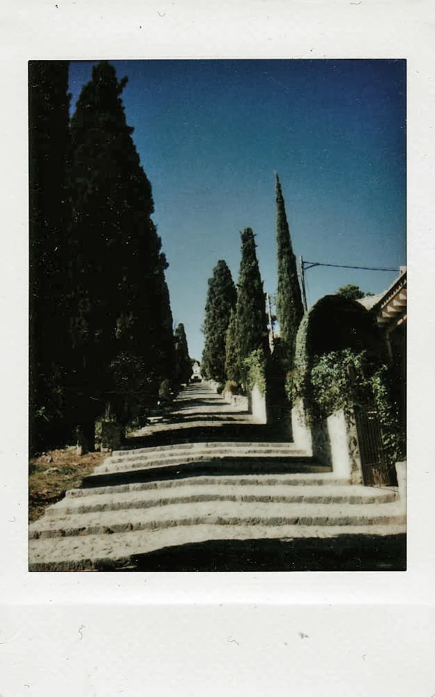 Polaroid of a long stone stairway lined with tall cypresses under a deep blue sky, Mallorca — Mallorca Polaroids, analog travel photography by Janina Laszlo