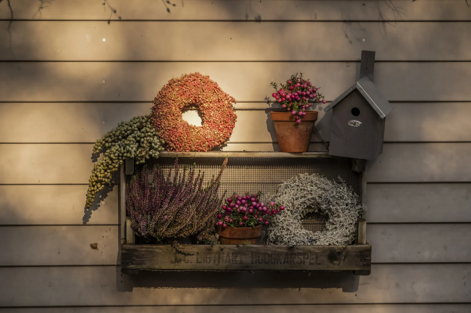 Autumn wreath and potted heather on a weathered wooden wall shelf — campaign photography by Janina Laszlo, Munich
