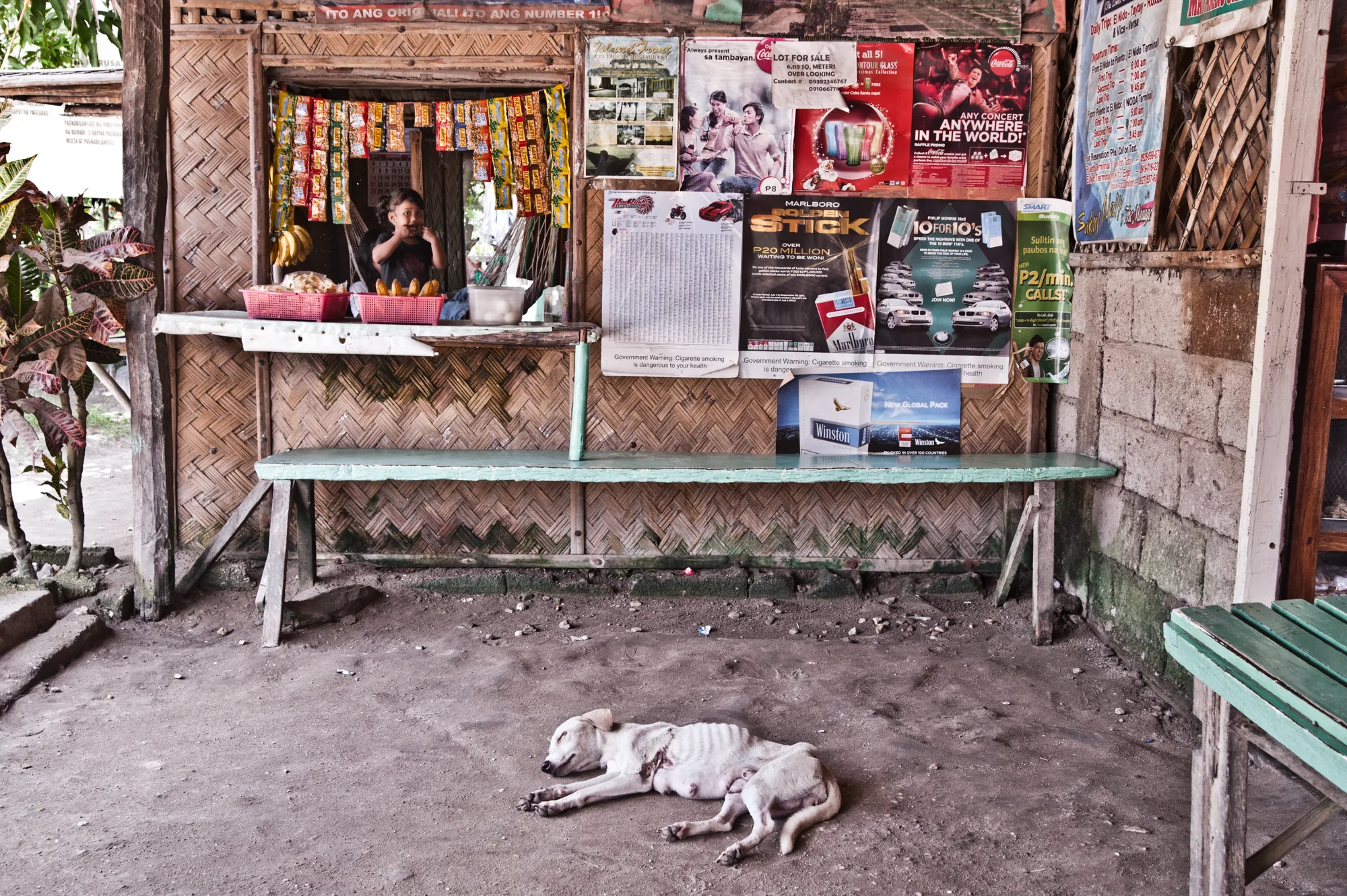 Girl in a sari-sari store window with posters, a dog asleep on the floor — Palawan, Philippines, documentary and travel photography by Janina Laszlo