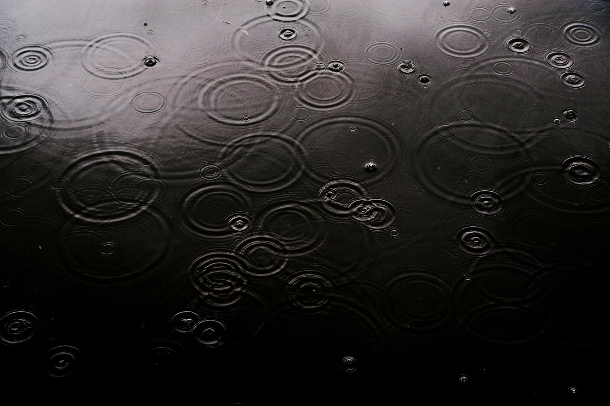 Raindrop rings on dark water — Palawan, Philippines, documentary and travel photography by Janina Laszlo