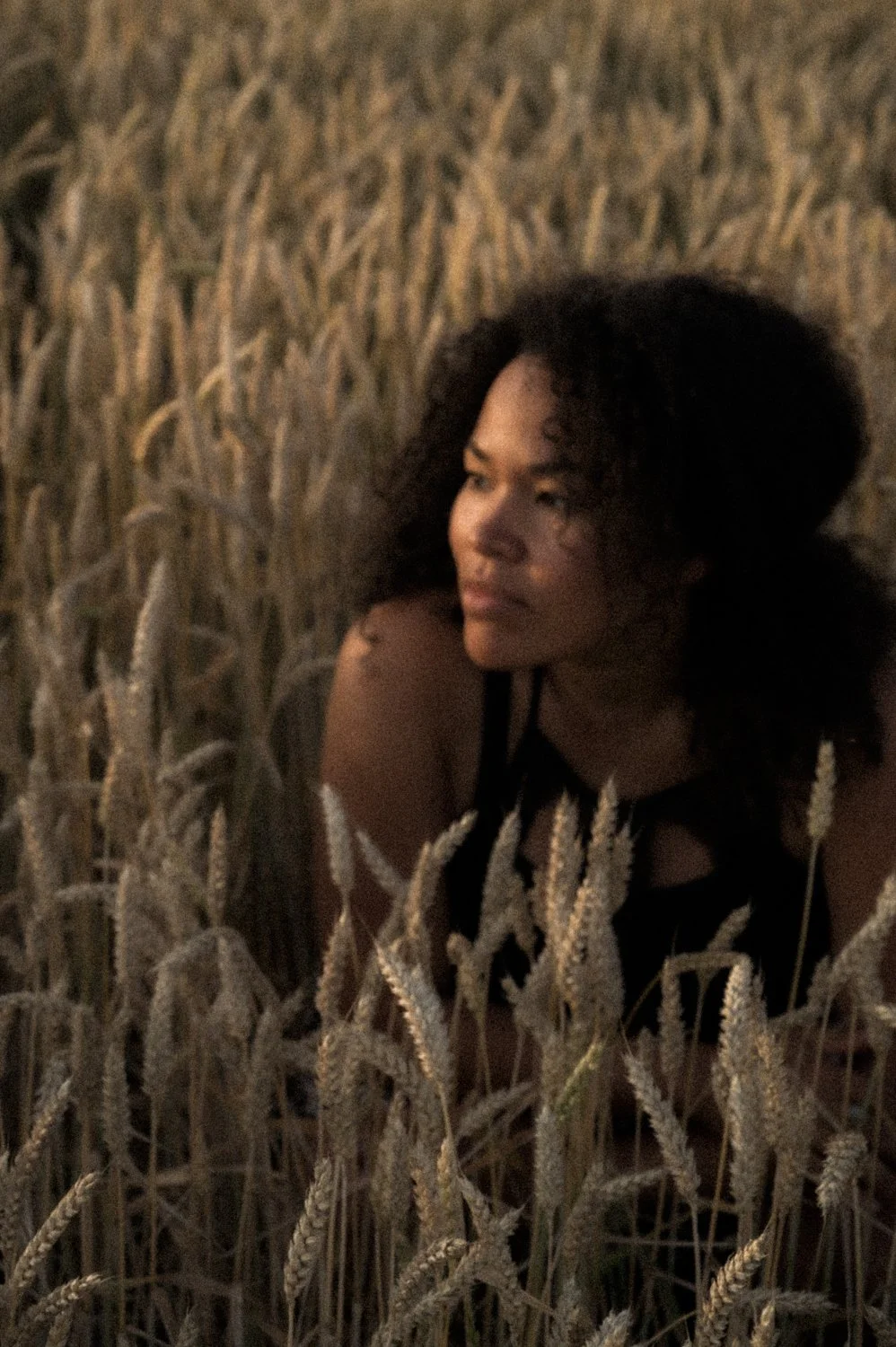 Musician Hanna Sikasa in a golden wheat field at dusk — portrait by Janina Laszlo, portrait photographer in Munich