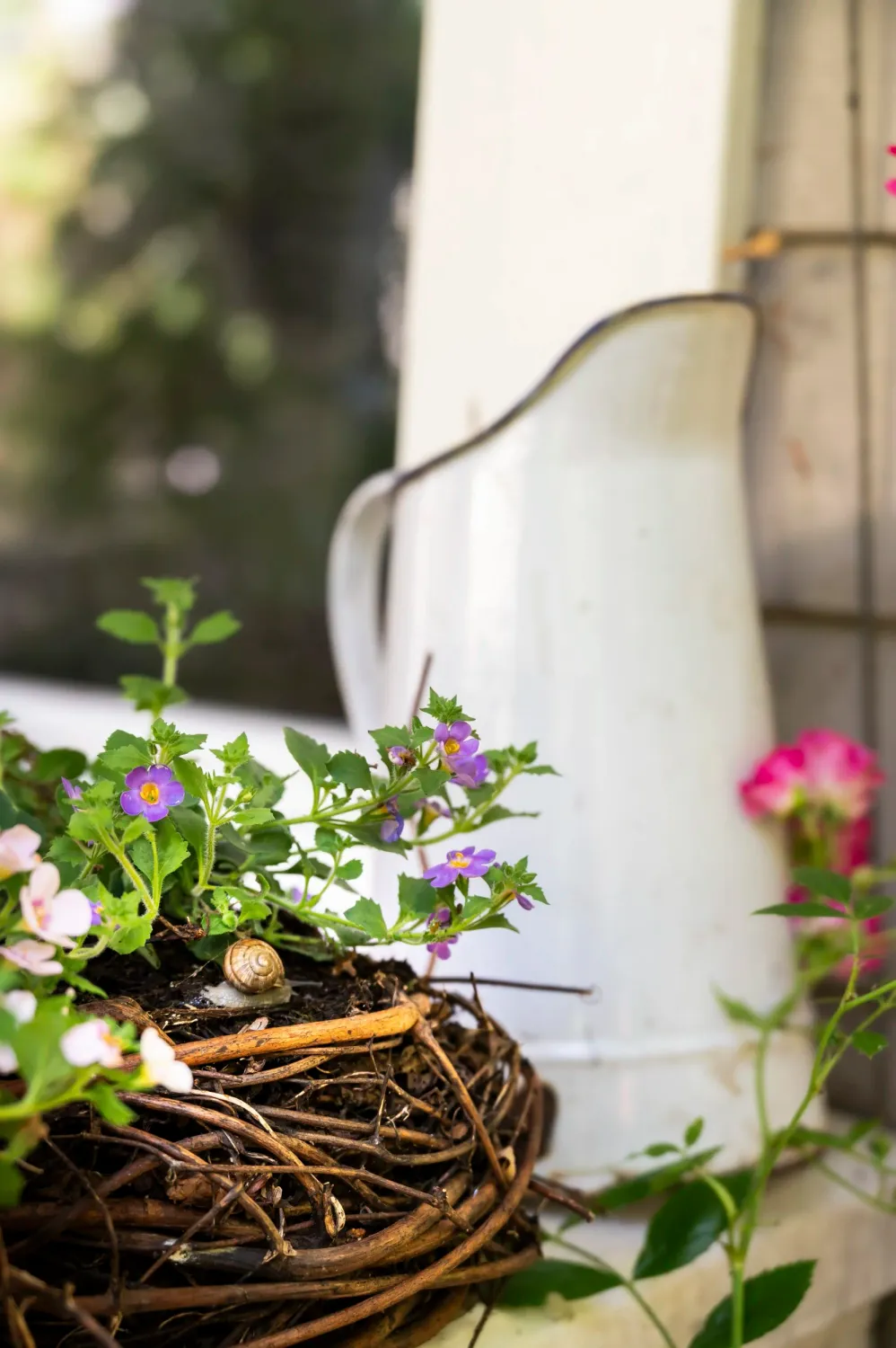 Flower nest with petunias in front of a white enamel jug — My Cottage Garden rose garden, Sarah Stiller — campaign photography by Janina Laszlo, Munich