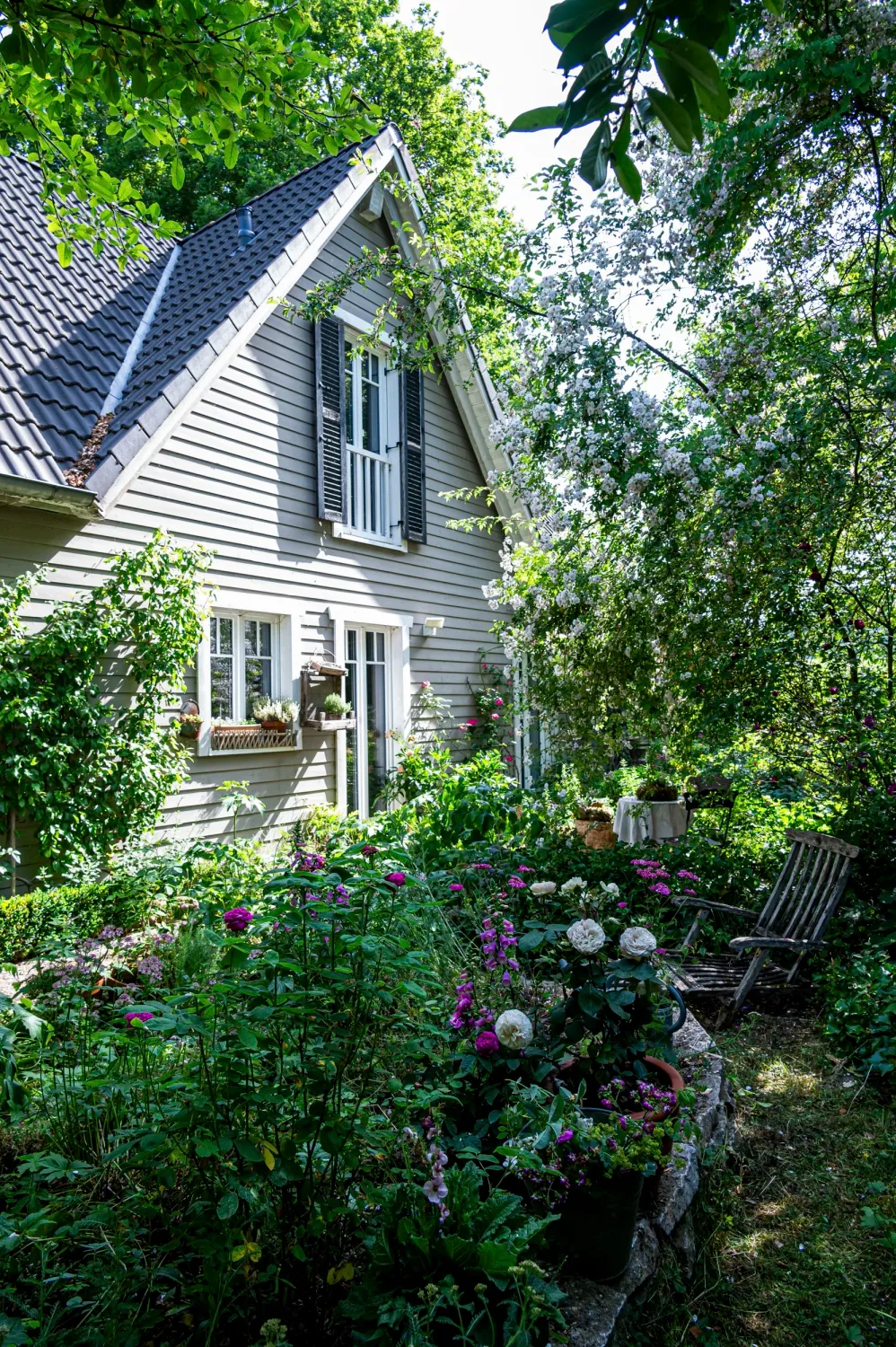 Shingled cottage behind a lush rose garden — My Cottage Garden rose garden, Sarah Stiller — campaign photography by Janina Laszlo, Munich
