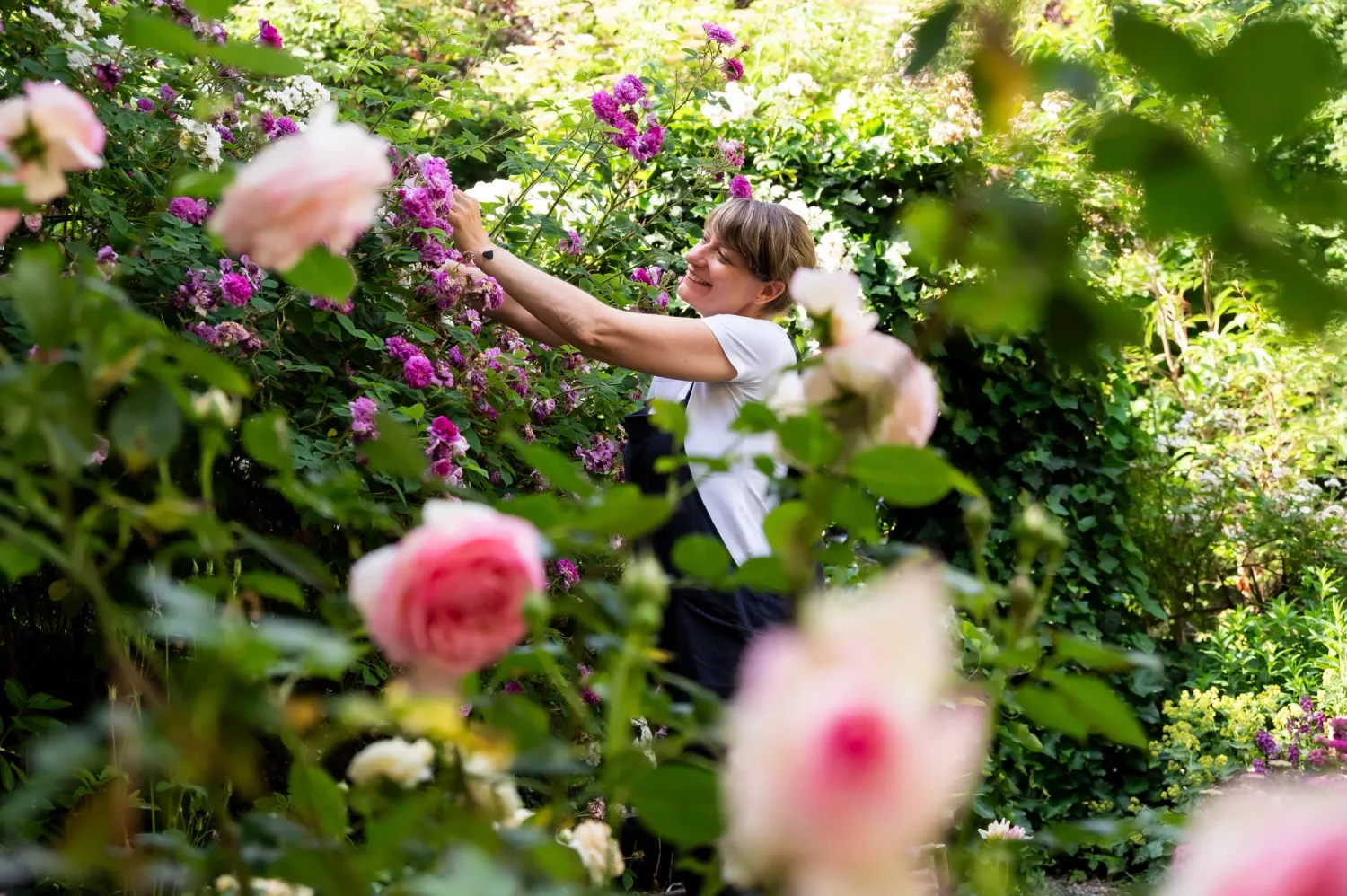 Sarah Stiller tending pink roses in her garden — My Cottage Garden rose garden, Sarah Stiller — campaign photography by Janina Laszlo, Munich