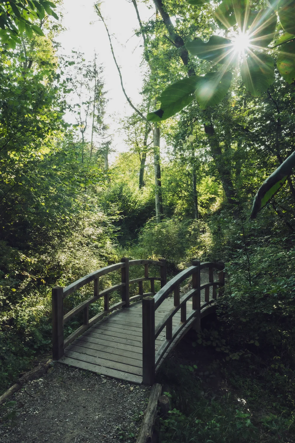 Arched wooden footbridge in a sunlit forest with a sunstar through the leaves — Fünfseenland for SEEMAGAZIN, editorial travel and landscape photography by Janina Laszlo, Munich